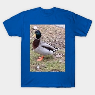 farm duck green T-Shirt